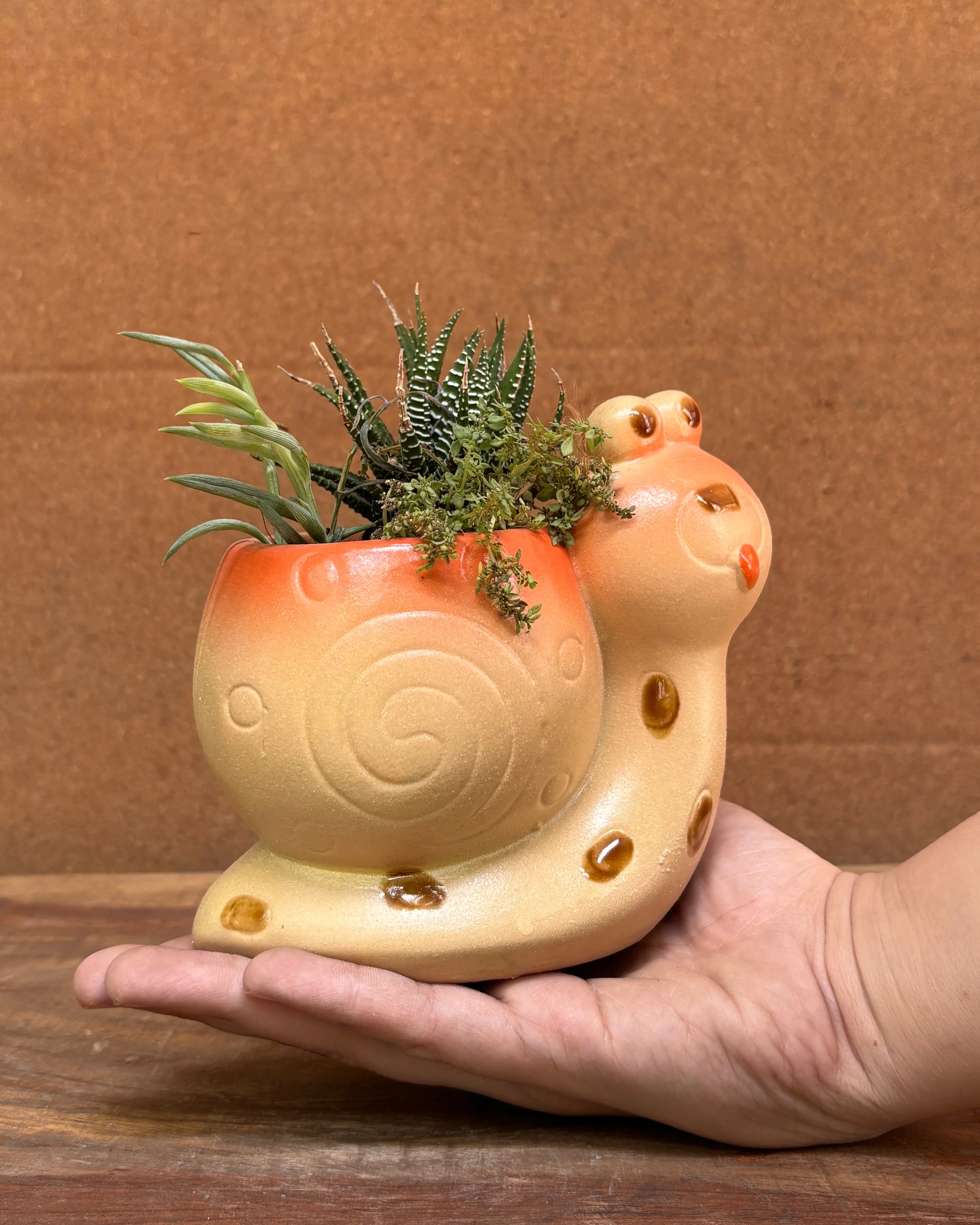 4 Inch Terracotta Snail Planter